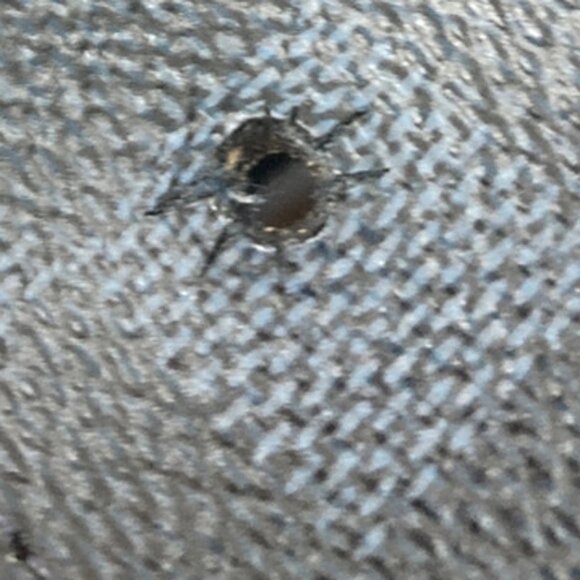 LOUIS VUITTON Ceinture LV Initial Belt 85/34 Damier Cobalt Blue M9210 80EF584 - Picture 9 of 15